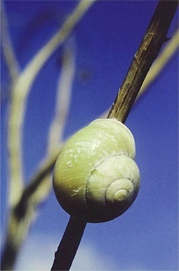 Cesta na vrchol